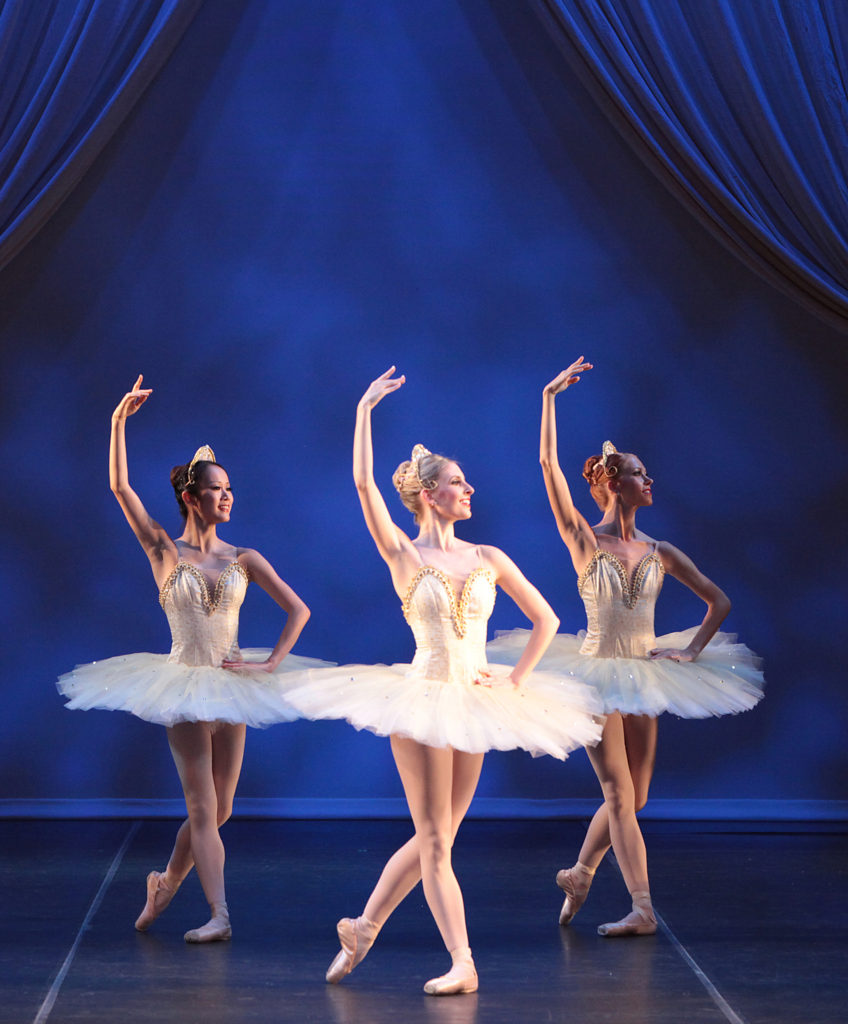 Sarasota Ballet 2018-2019 Season - Family Beautiful