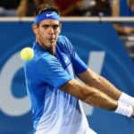 Juan Martin del Potro