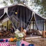 Glamping-at-Westgate-River-Ranch-Central-Florida-1