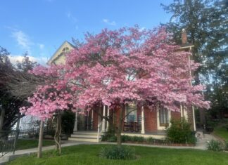 Ghostly Stay at The Welty House Gettysburg