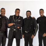commodores