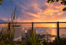 Inside Miami’s Hottest Hotels, Restaurants and Rooftops