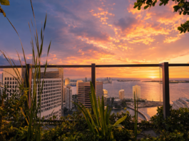 Inside Miami’s Hottest Hotels, Restaurants and Rooftops Inside Miami’s Hottest Hotels, Restaurants and Rooftops