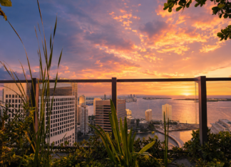 Inside Miami’s Hottest Hotels, Restaurants and Rooftops