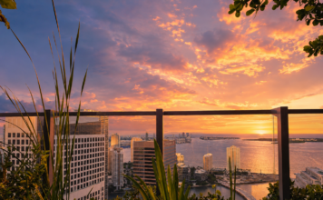 Inside Miami’s Hottest Hotels, Restaurants and Rooftops