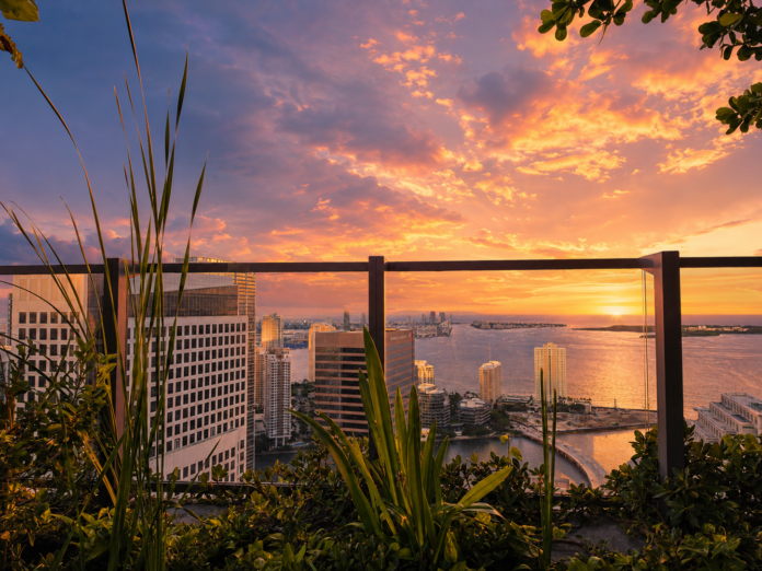 Inside Miami’s Hottest Hotels, Restaurants and Rooftops