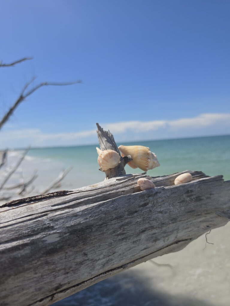 Escape to Sundial Beach Resort & Spa on Sanibel Island for Gulf beaches, shelling, a North Captiva cruise, spa treatments and fabulous dining.