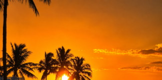 Escape to Sundial Beach Resort & Spa on Sanibel Island for Gulf beaches, shelling, a North Captiva cruise, spa treatments and fabulous dining.
