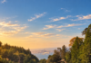 Oakland and Berkeley: Where California’s Art, Science and Restless Spirit Meet UC Berkely Botanical Gardens Vista