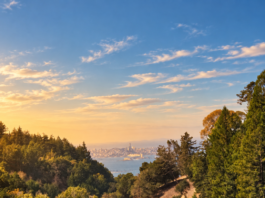 UC Berkely Botanical Gardens Vista