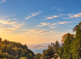 UC Berkely Botanical Gardens Vista