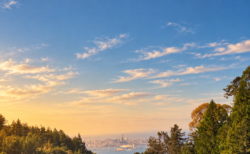UC Berkely Botanical Gardens Vista